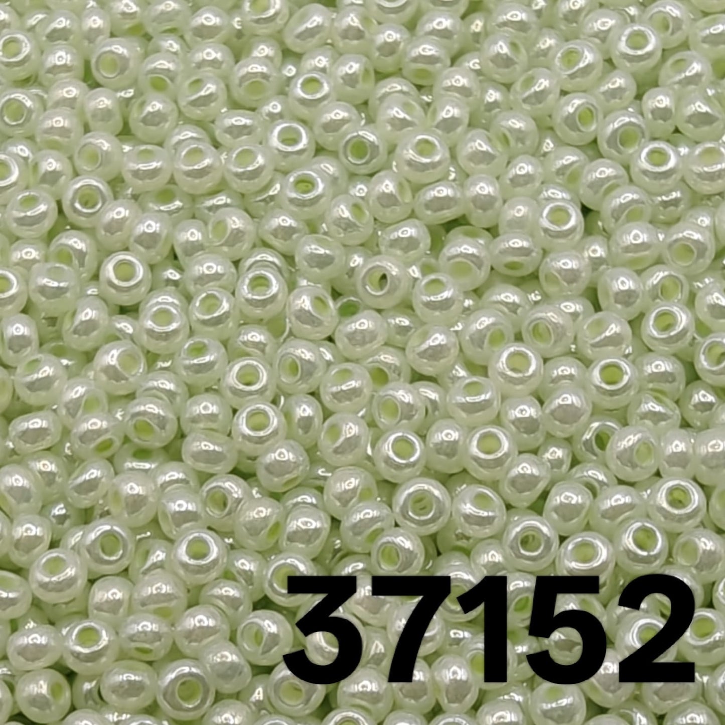 Preciosa seed beads 10/0 Pearlized Green colour 37152 close-up macro