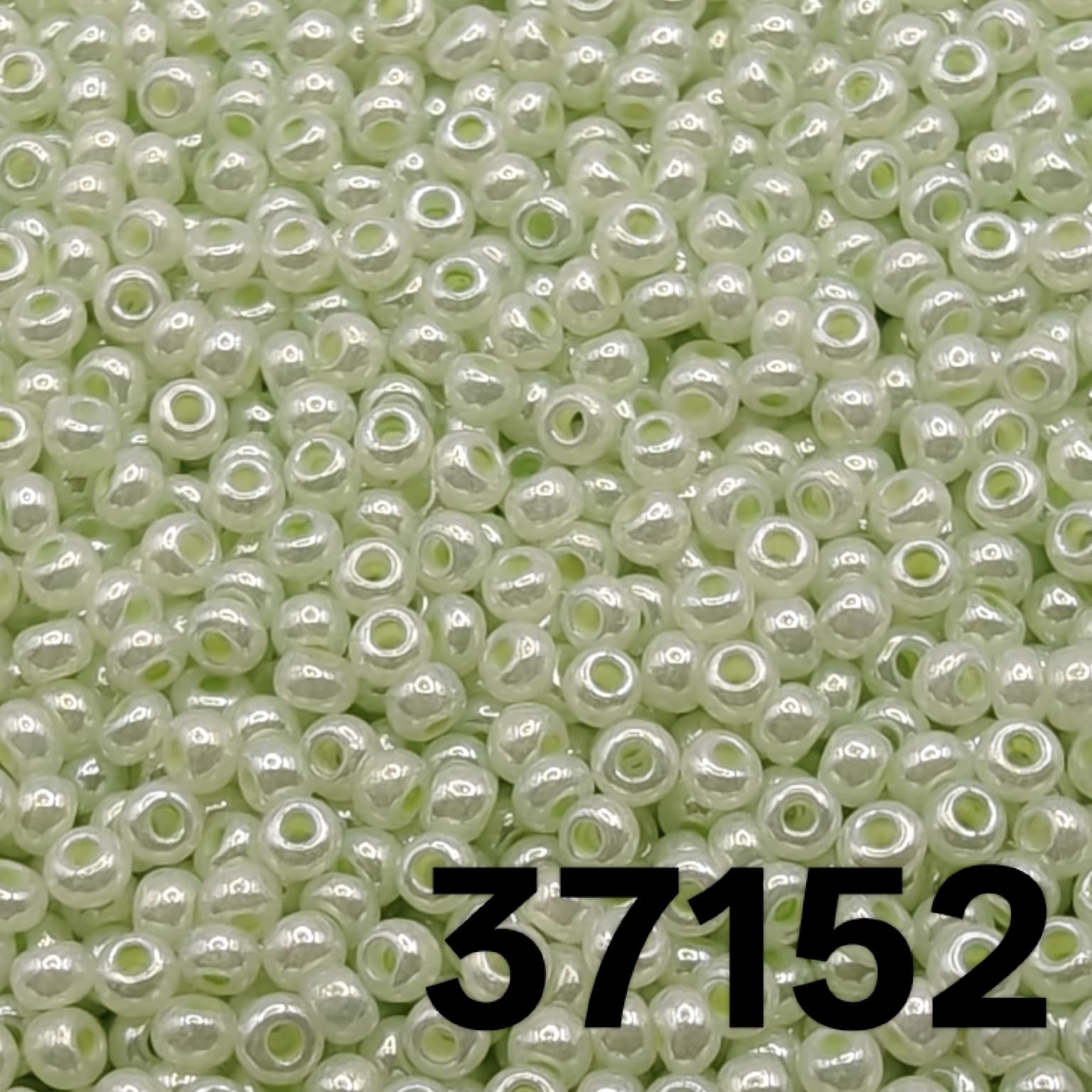 Preciosa seed beads 10/0 Pearlized Green colour 37152 close-up macro